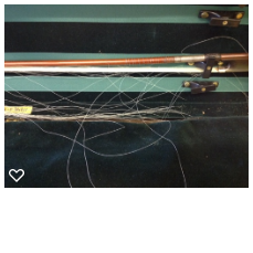 Bow hair insect damage