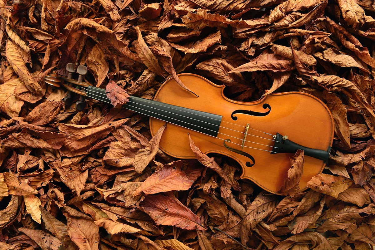 The Effects of Temperature on Your Instrument and Bow