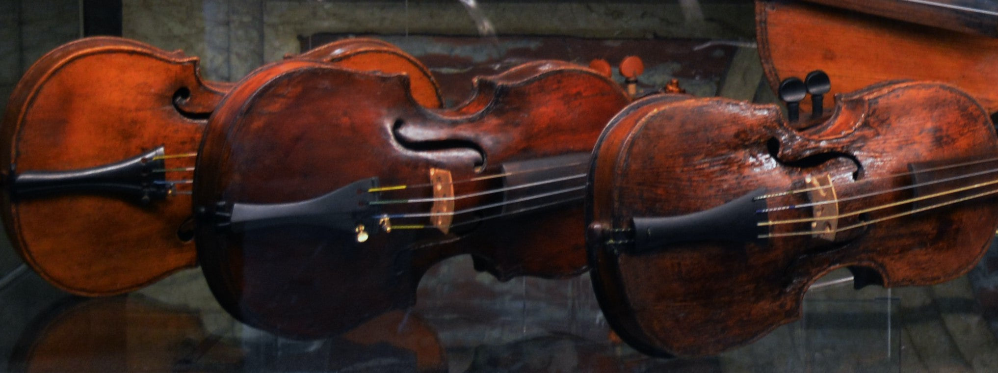 Antique and Professional Violins