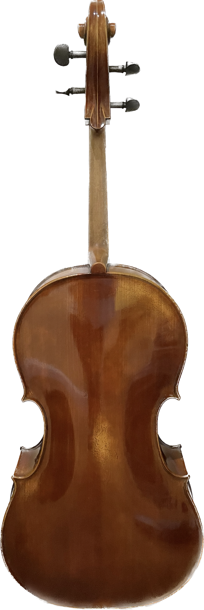 Klaus Clement C3 Cello, 2021