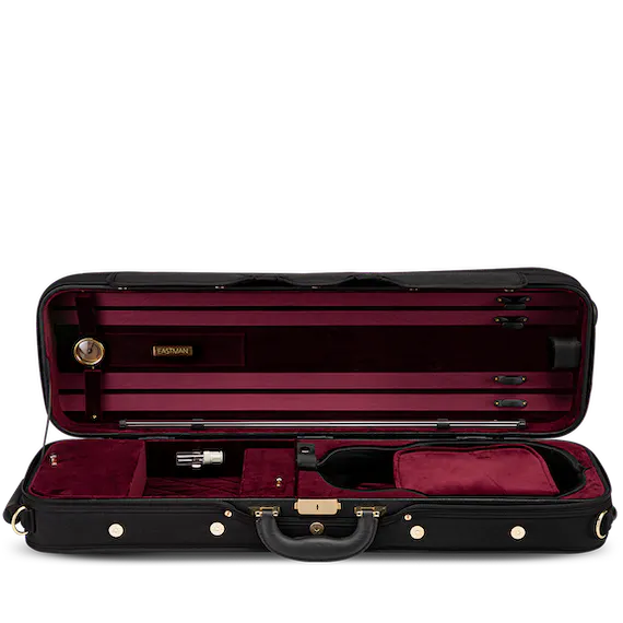 Eastman Pro CA1908 Violin Case