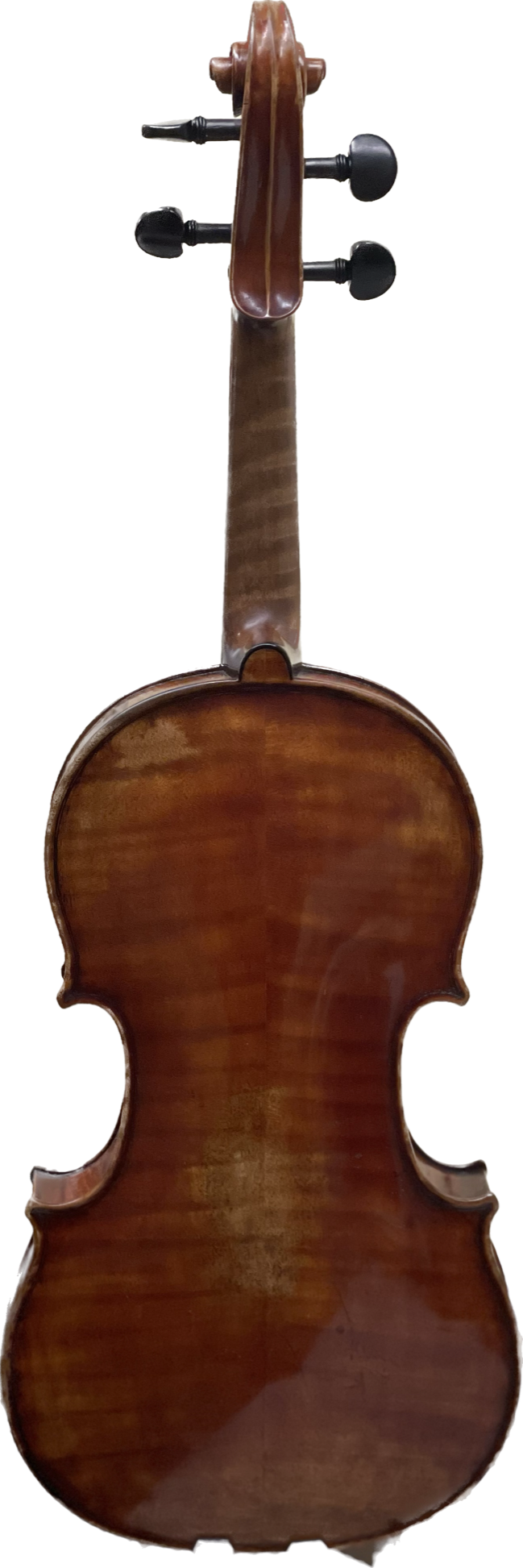 John Friedrich violin 1893