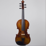 Realist Pro Violin 5-String - Frantique RV5PEFA