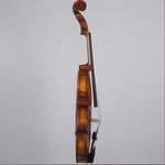 Realist Pro Violin 5-String - Frantique RV5PEFA