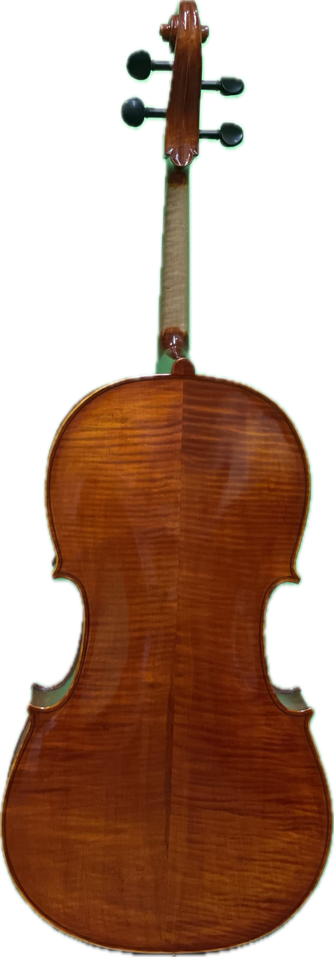 Dante Sincero Cello #4370