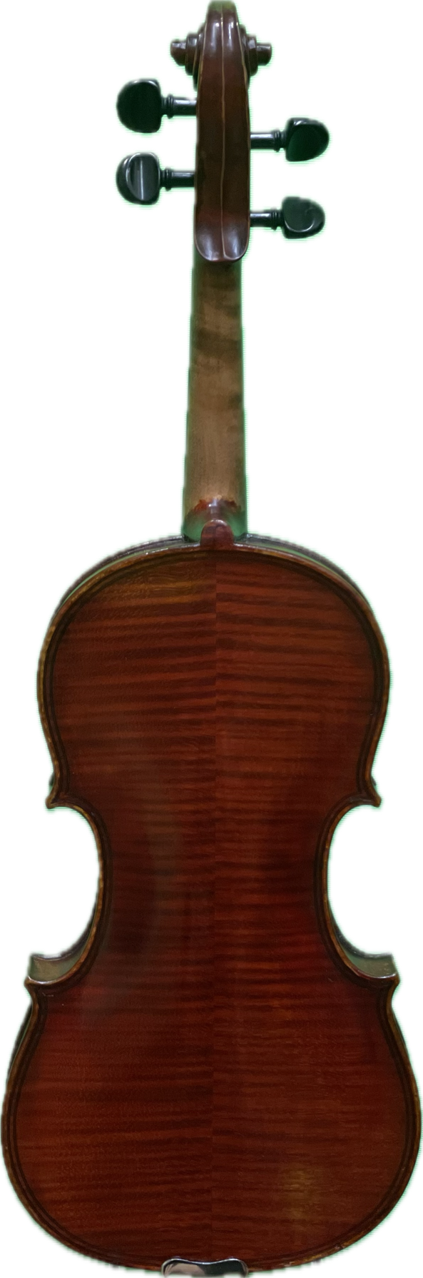 Alfred Ernst Schenk Violin 1882