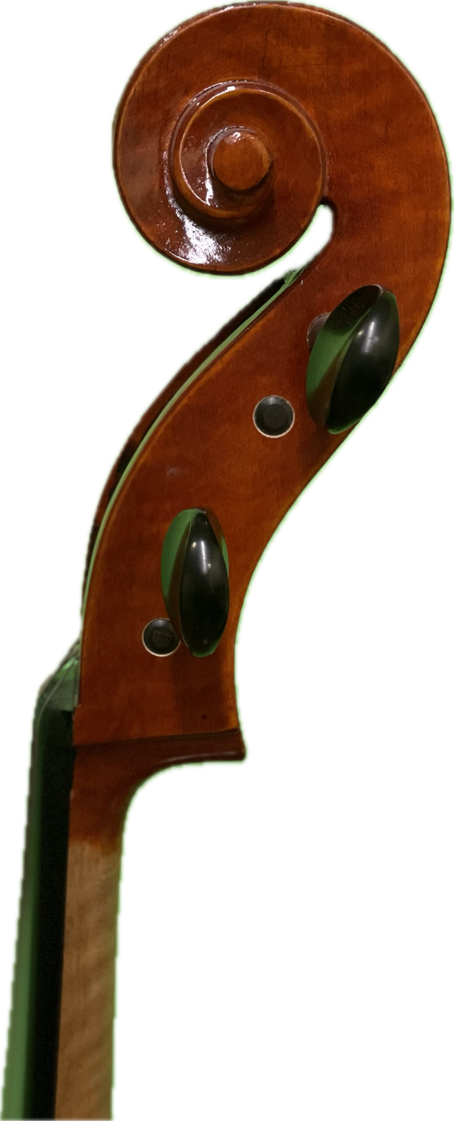 Dante Sincero Cello #4370