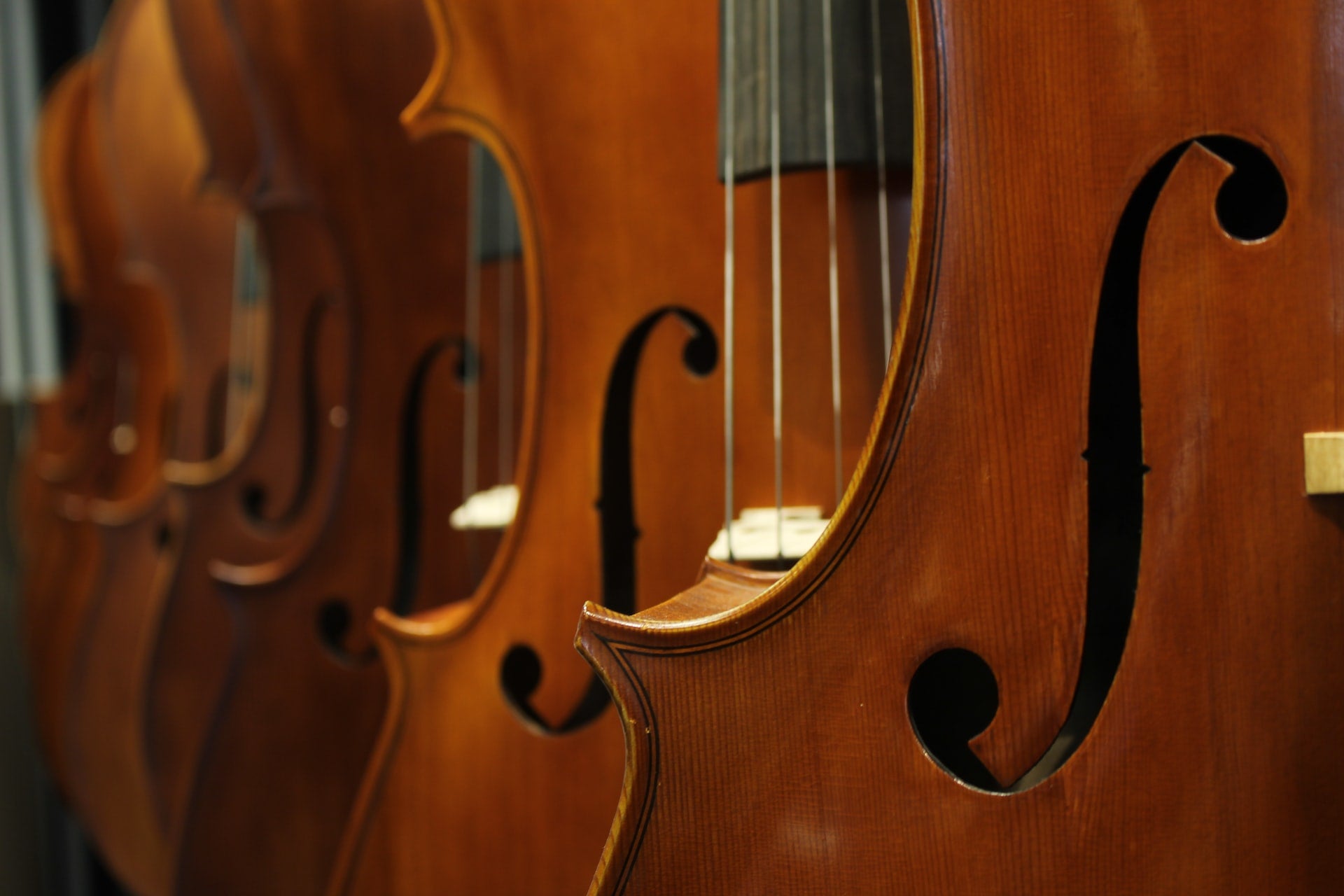 multiple basses lined up