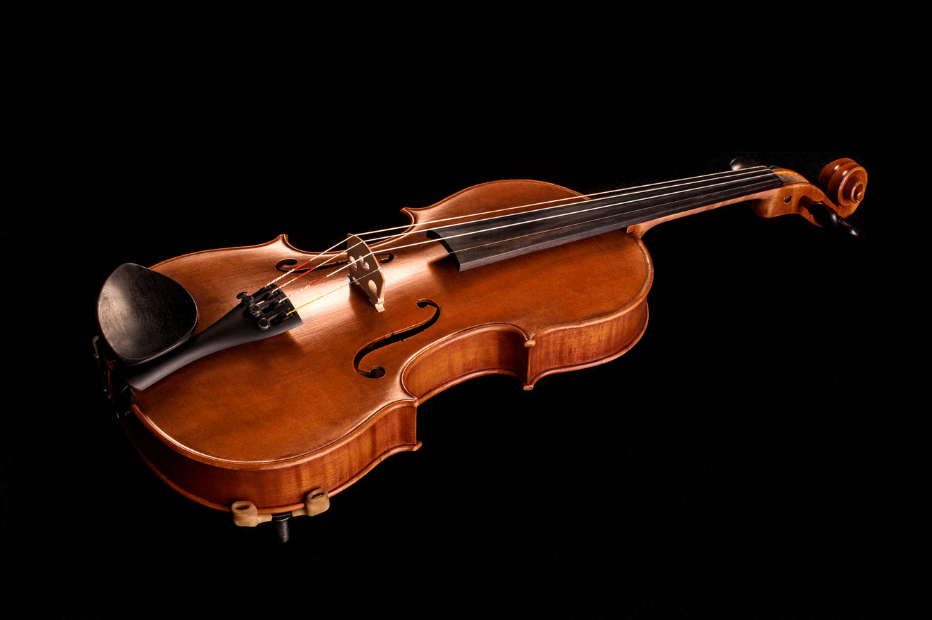 violin