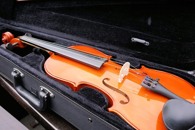 a violin in a case