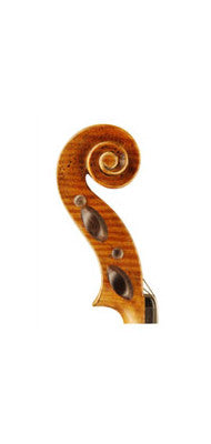 Otto Model 550 Virtuoso Violin - Scroll