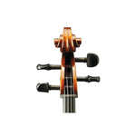 Andreas Eastman Model 305 Stradivari Cello - Scroll