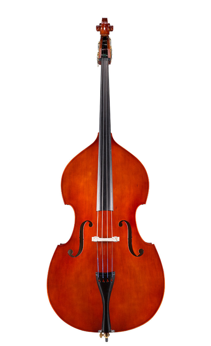 LIVS Standard Bass Rental