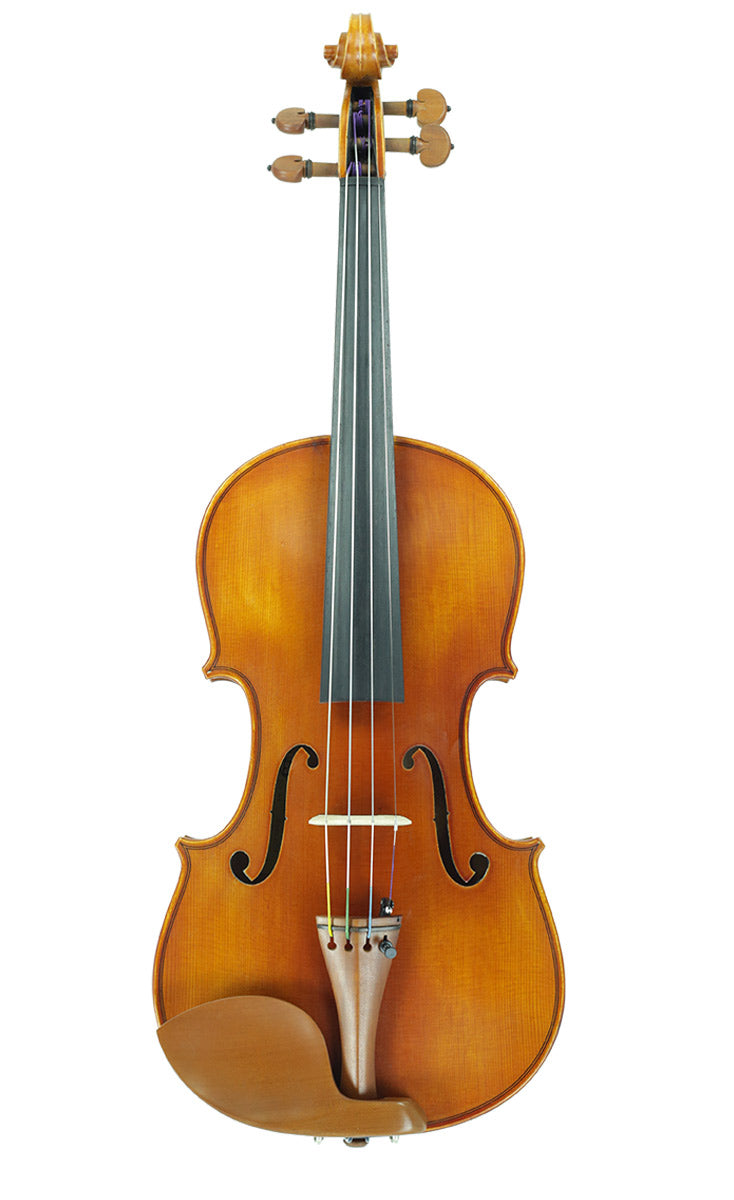 Høne snap Pogo stick spring Andreas Eastman Model 200 Stradivari Violin – The Long Island Violin Shop