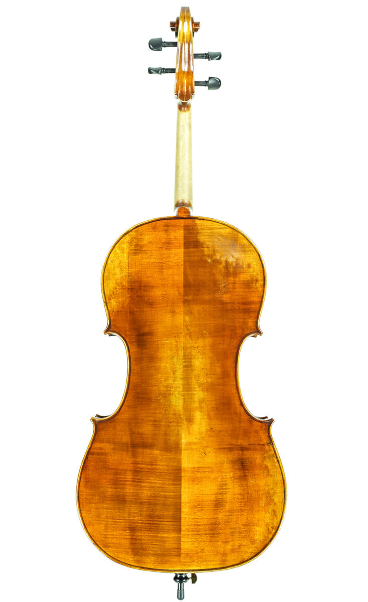 Albert Nebel Model VC601 Cello - back
