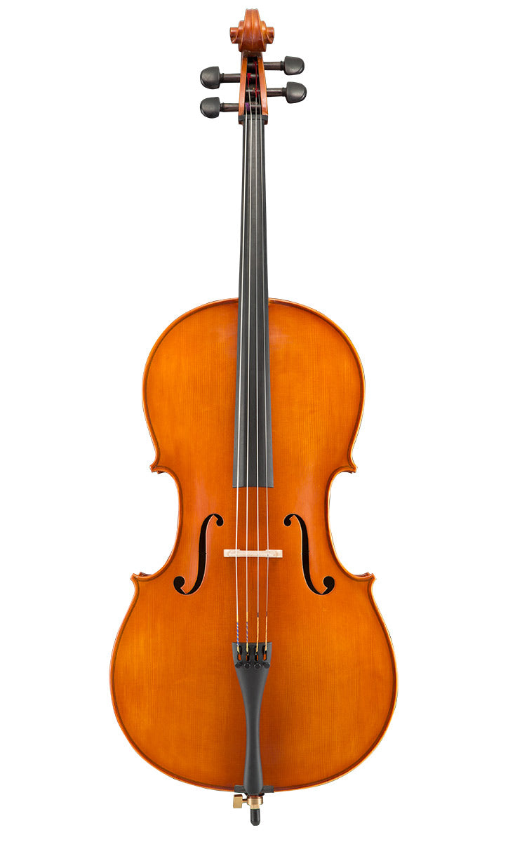 LIVS Standard Cello Rental