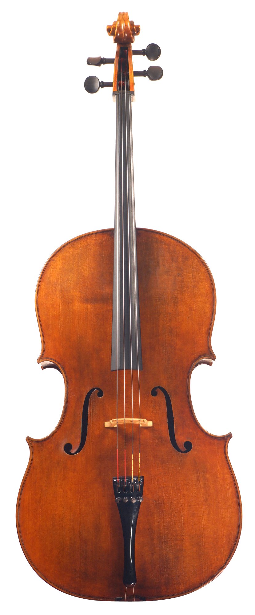 Beautiful music violin store shop