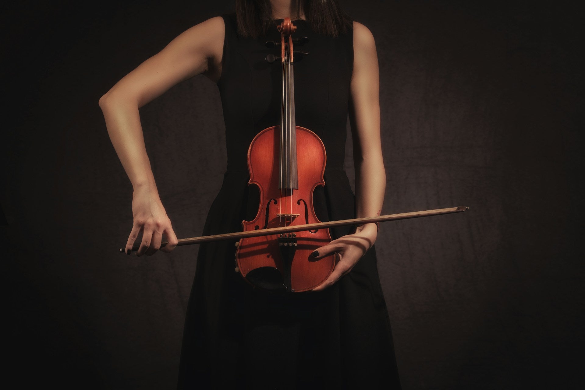 The Parts of a Violin Explained – The Long Island Violin Shop