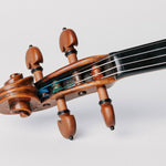 Thomastik-Infeld Dynamo Solo DY100S violin strings - installed on violin pegbox