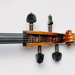 Peter Infeld cello strings - installed on cello pegbox