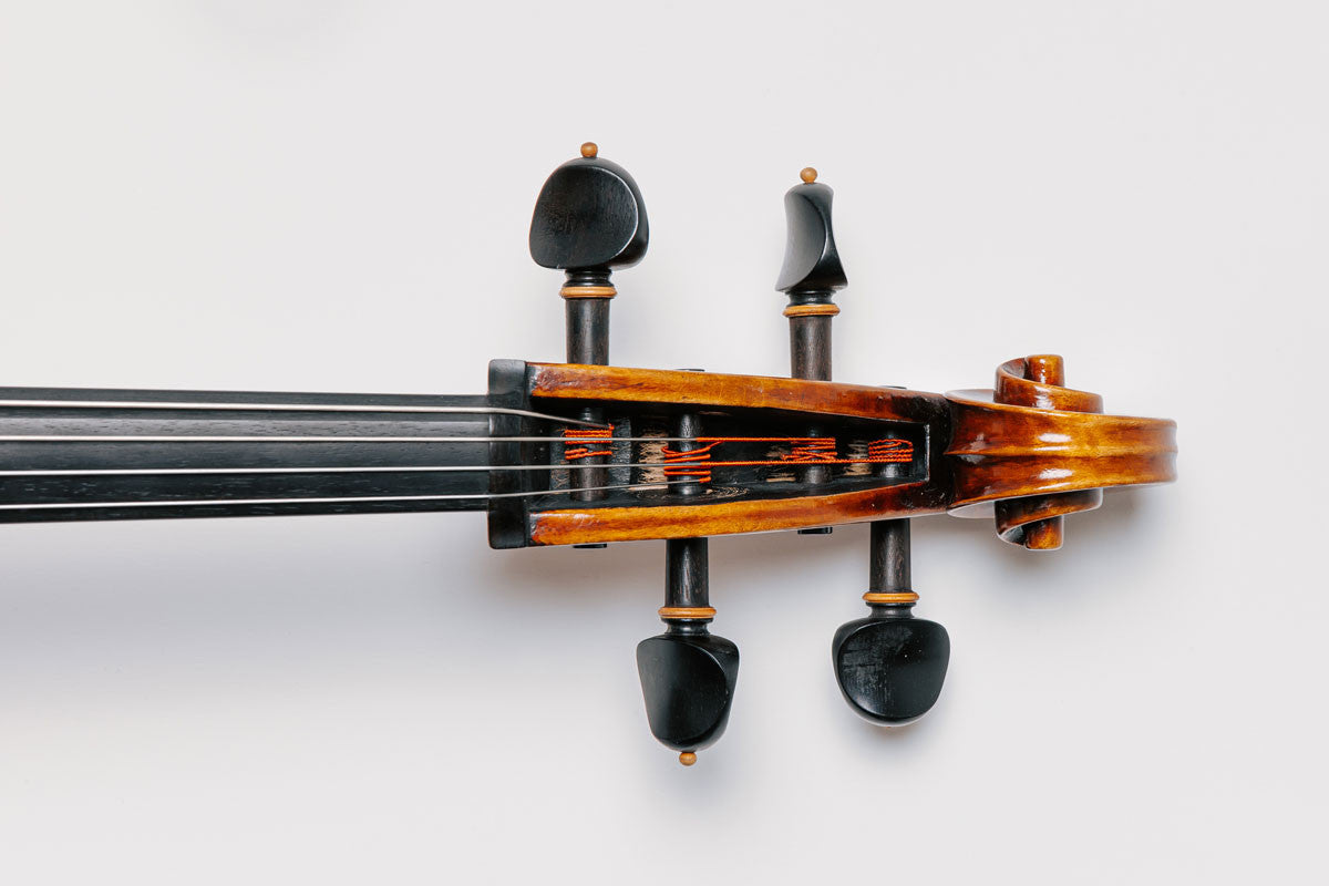 Peter Infeld cello strings - installed on cello pegbox