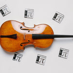 Peter Infeld cello strings - cello with string envelopes