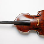 Peter Infeld double bass strings - double bass