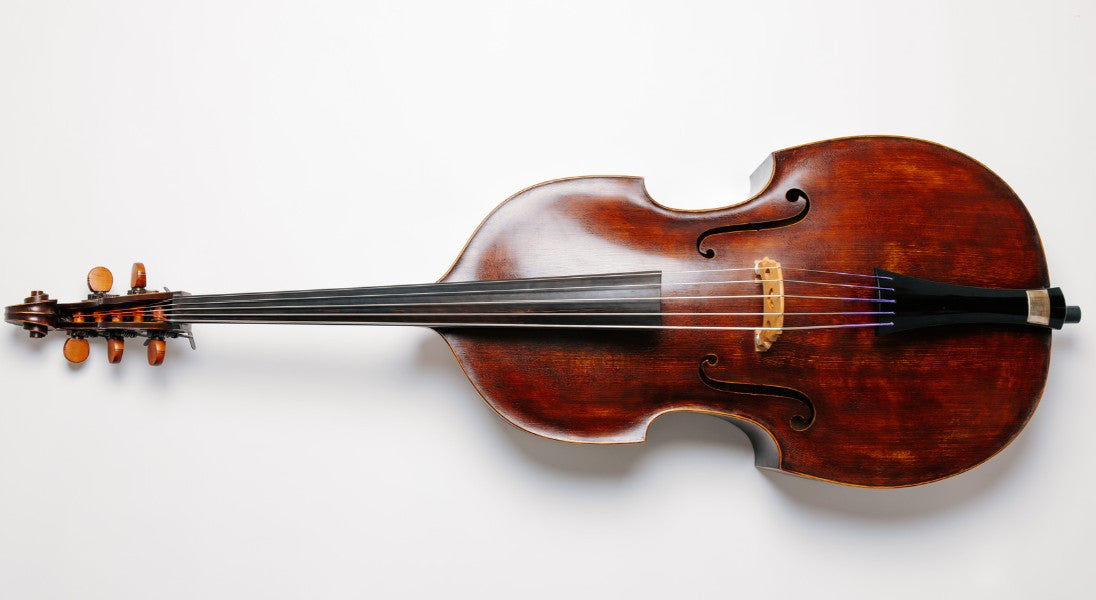 Peter Infeld double bass strings - double bass