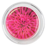 Magic Rosin 3G for Violin/Viola - photo 35