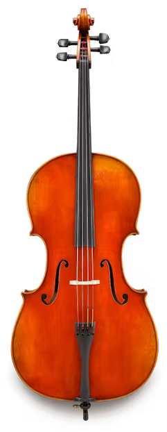Wyss Cello Front
