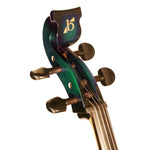 Bridge Draco 4-String Electric Cello Outfit - Pegs & Strings