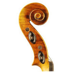 Otto Model 310 Violin - Scroll