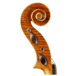 Otto Model 550 Virtuoso Violin - Scroll