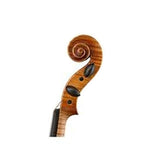Wilfer V-50 Violin - Scroll
