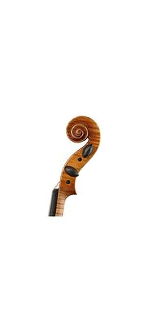 Wilfer V-50 Violin - Scroll