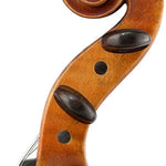 Wilfer V-60 Violin - Profile