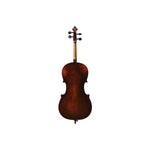 Andreas Eastman Model 305 Stradivari Cello - Back