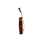 Andreas Eastman Model 305 Stradivari Cello - Side