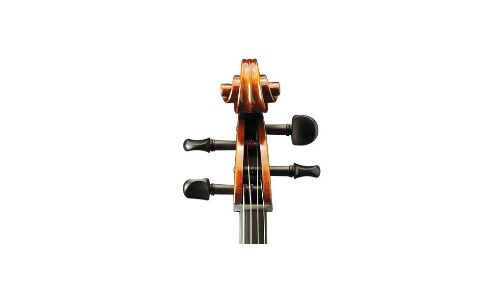 Andreas Eastman Model 305 Stradivari Cello - Scroll