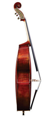 Jean-Pierre Lupot Model 501 Carved Bass w/ Gamba Corners - Profile