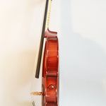 Realist RV5e Amplified Acoustic Violin - 5 String Profile