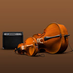 Andreas Eastman 305 Electro-Acoustic Violin