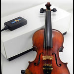 Volta 300 Series Acoustic Electric Violin - 5 String