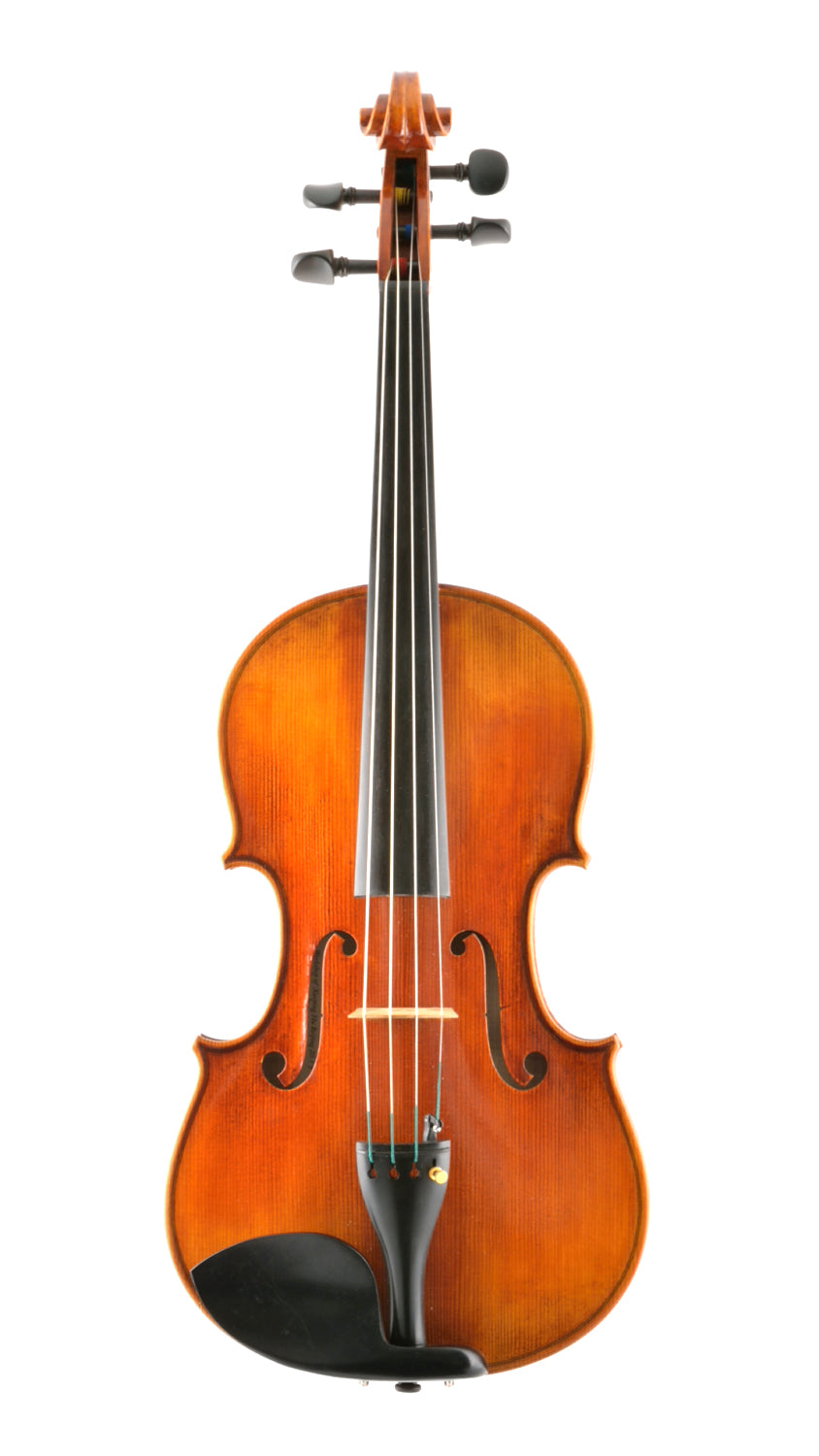 VL100back.png